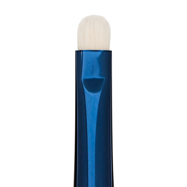 Blue Master Eye Shadow Detailer Brush